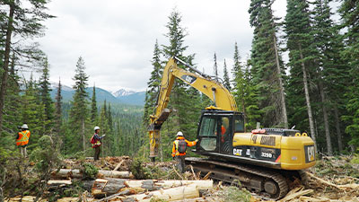 cgl-construction-wooded-area-400x225.jpg