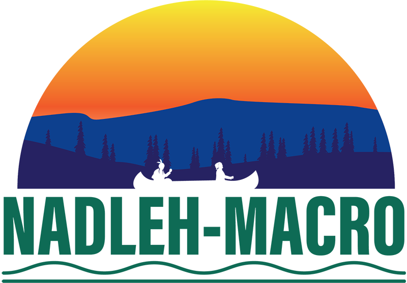 Nadleh Macro logo