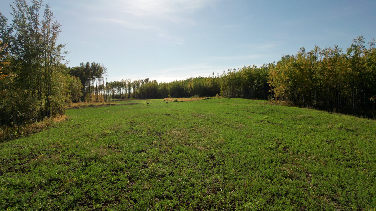 cgl-wilde-lake-completion-reclaimation1200x675.jpg