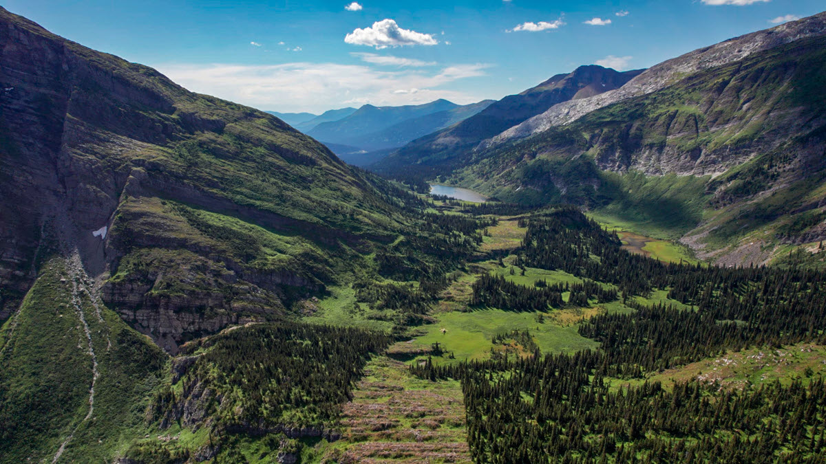 Restoring land - Coastal GasLink Headwall