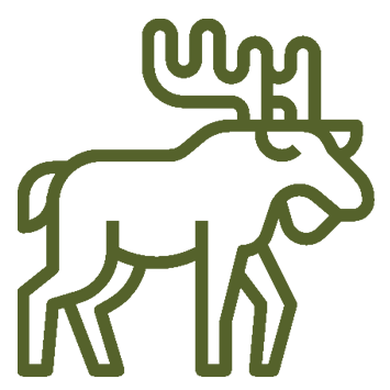 icon-environment-Wildlife.png