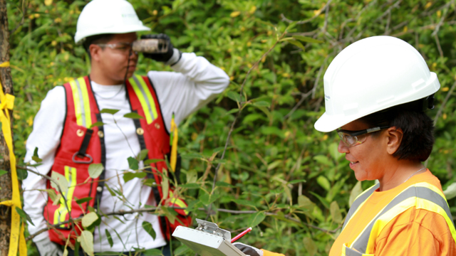 cgl-aboriginal-field-workers.jpg