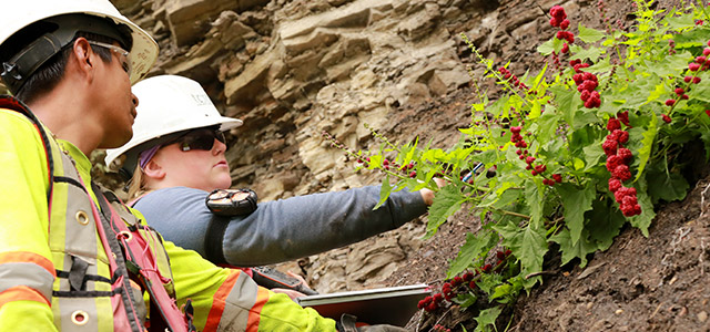 cgl-field-workers-640x300.jpg