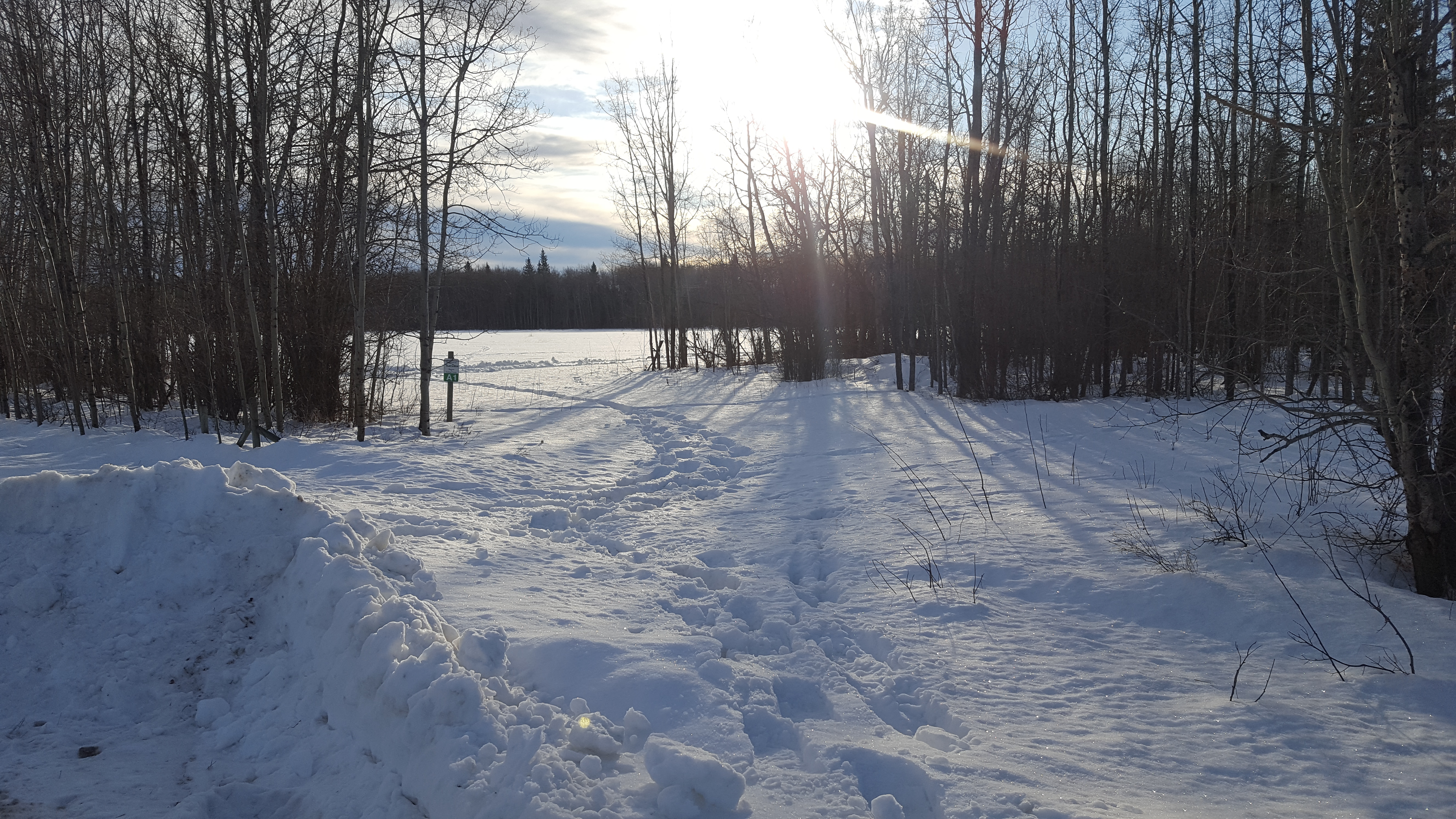 CGL Vanderhoof Site Jan. 2020 .jpg