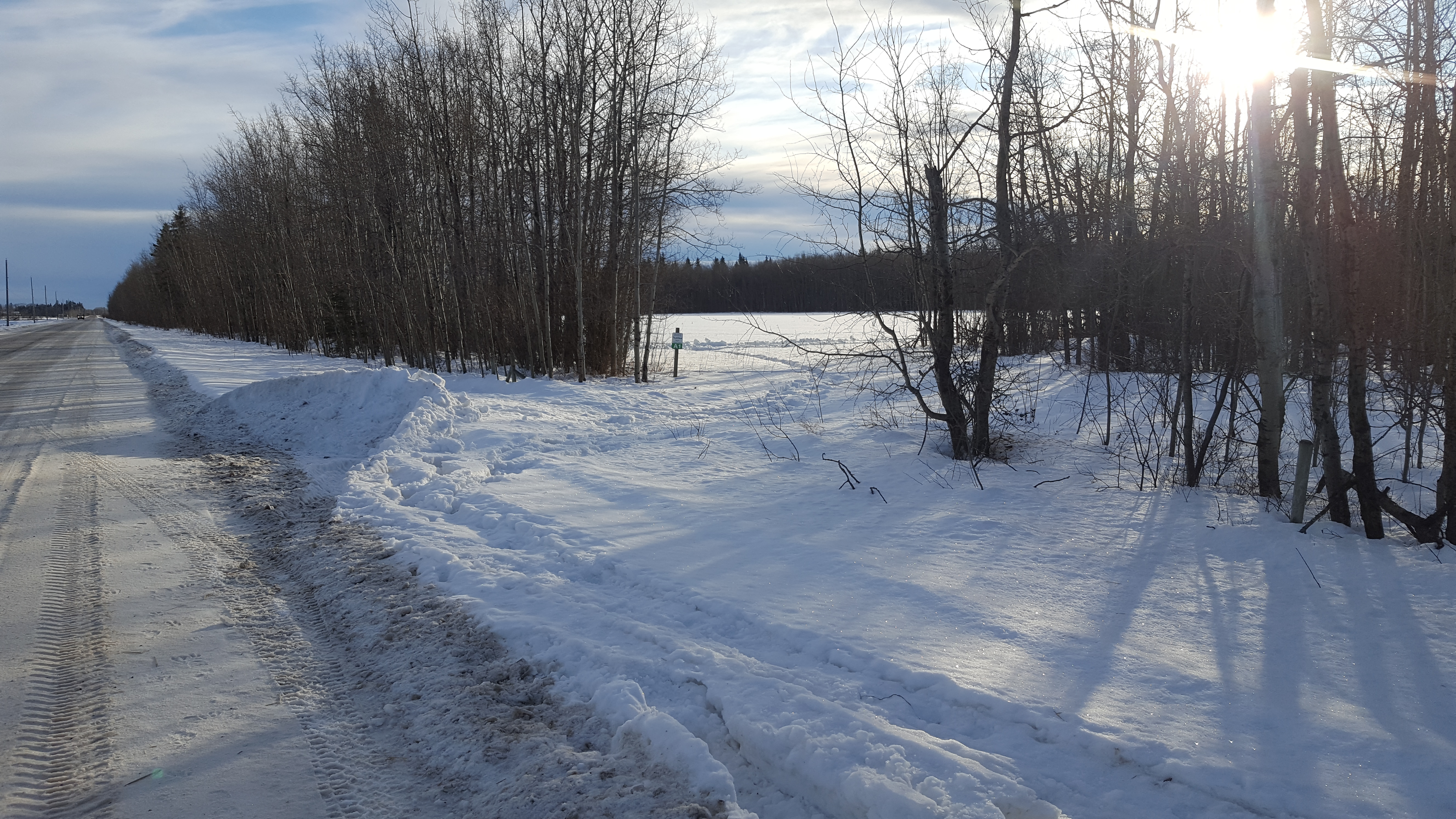 CGL Vanderhoof Site Jan. 2020-1.jpg