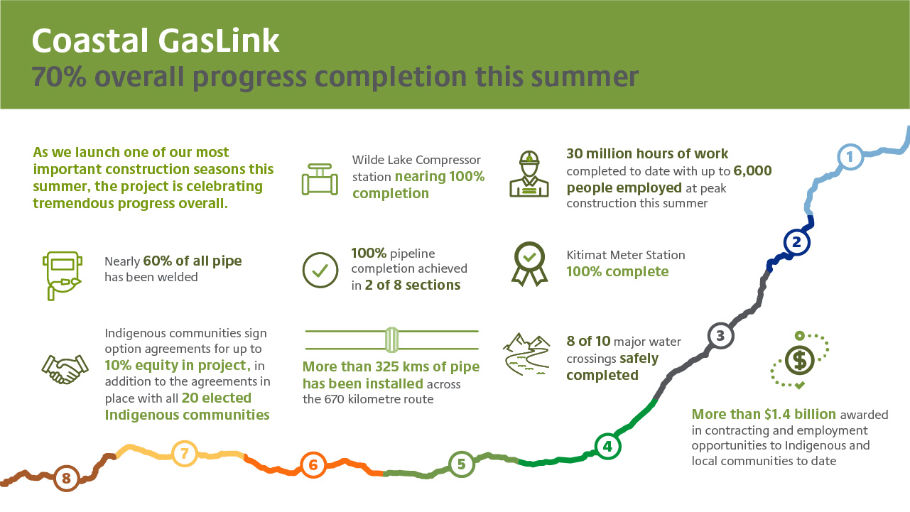 Milestones and achievements infographic