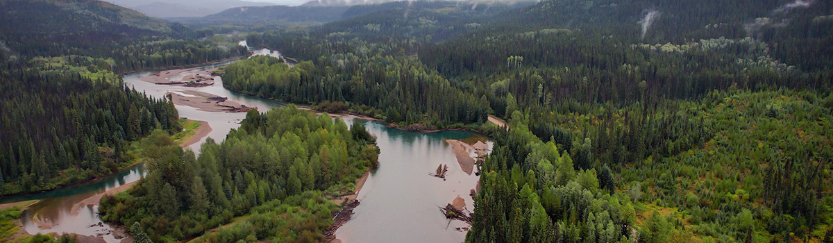 Healing through Harmony and Unity on National Indigenous Peoples Day 