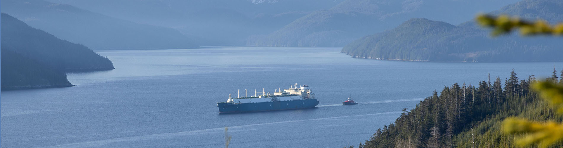 LNG cargo ship